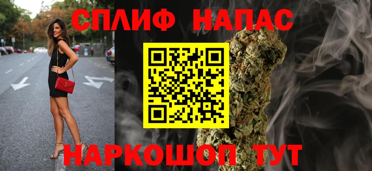 Бошки марихуана ГИДРОПОН Губаха